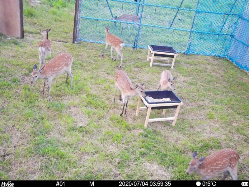アーバンディア対策にホカクンを活用　（稚内市）