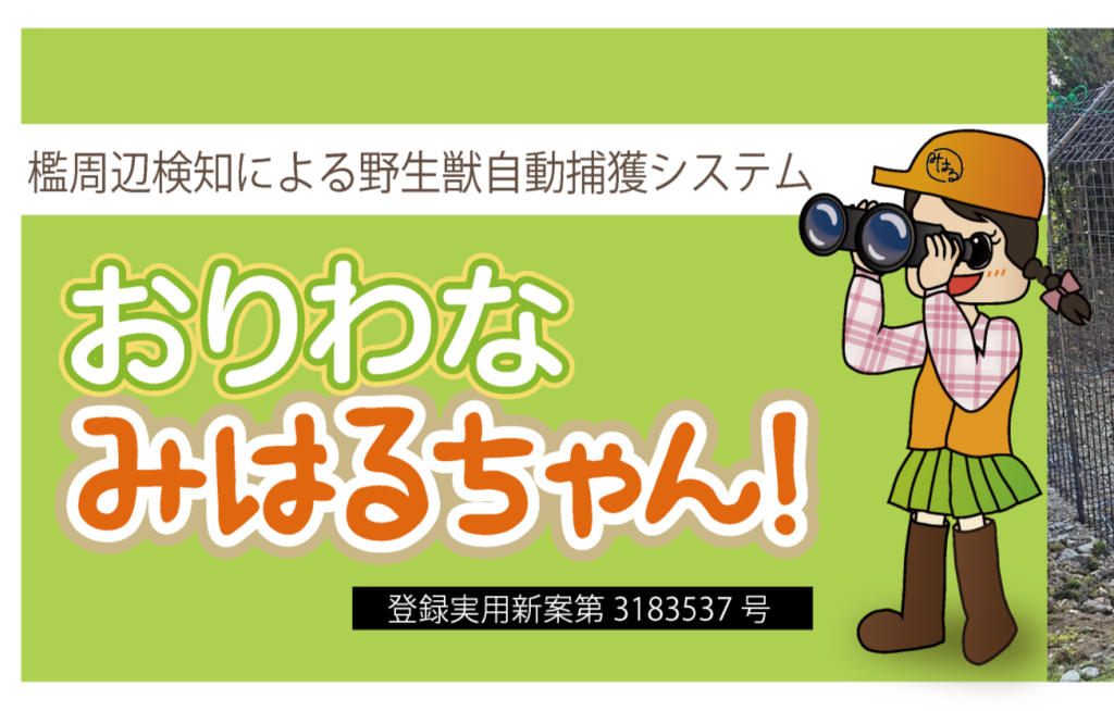 おりわなみはるちゃん