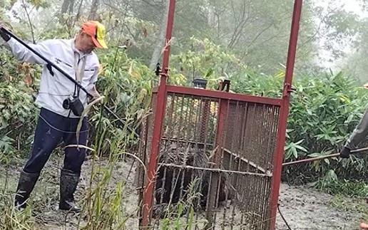 電気止めさし・保定具